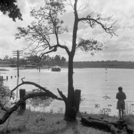 Maitland Flood, 1955 - Scobie’s tunnel at Oakhampton, NSW