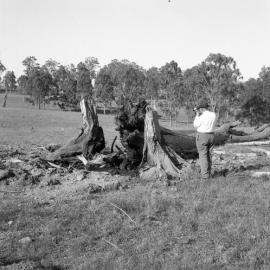 Explosives demonstration at Tocal, NSW, Australia