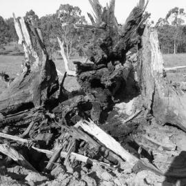 Explosives demonstration at Tocal, NSW, November 17, 1965