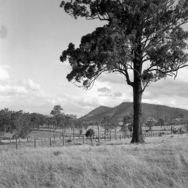 Property at Summer Hill near Vacy, with ship’s propellers at entrance gates