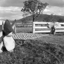 Property at Summer Hill near Vacy, with ship’s propellers at entrance gates