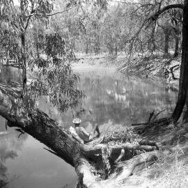Pig Hunting in Pilliga Scrub, Burren Junction, October, 1961 - River at Burren Junction