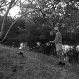 Pig Hunting in Pilliga Scrub, Burren Junction, October, 1961 - “Bringing home the bacon”