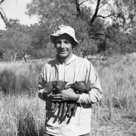 Pig Hunting in Pilliga Scrub, Burren Junction, October, 1961 - George with suckers