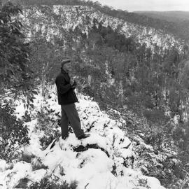Mr Foster of Penders at Barrington Tops, NSW