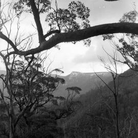 View of Careys Peak, Barrington Tops, NSW