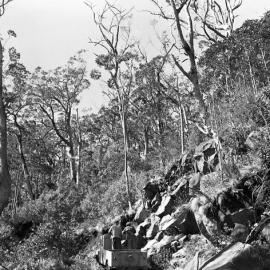  Landslide, Barrington Tops, NSW