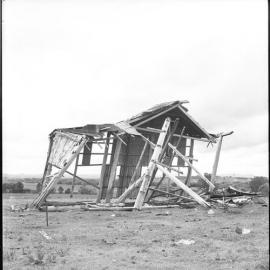 Old shed opposite Berry Pomeroy House, Duckenfield, NSW, June 1974