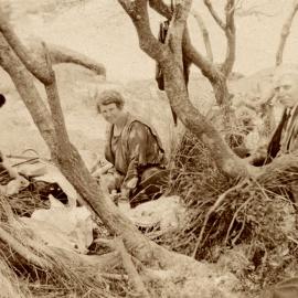 Unidentified picnic, Newcastle, NSW, Australia [n.d.]