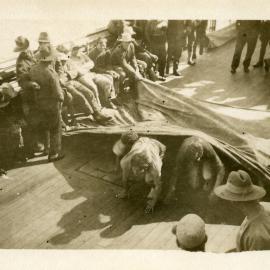 Obstacle race on boat - getting under the tarpaulin [during World War I]