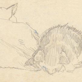 Sketch of a cat and kitten - Artwork by Harry Pugmire