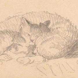 Sketch of cat and kitten by Harry Pugmire