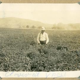 Clover at Vacy (NSW) c. 1940s