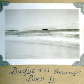 Budgewoi, showing Bird Island, c. 1940s