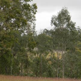 Site of Northern (Rhondda) Colliery, NSW, Australia