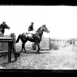 Unidentified horses and a jockey