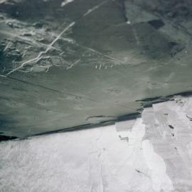 Prehistoric footprints in roof of Wallarah Colliery, Catherine Hill Bay, NSW, May 1979