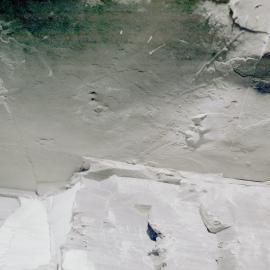 Prehistoric footprints in roof of Wallarah Colliery, Catherine Hill Bay, NSW, May 1979
