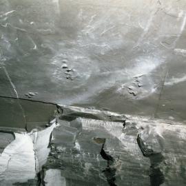 Prehistoric footprints in roof of Wallarah Colliery, Catherine Hill Bay, NSW, May 1979
