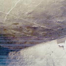 Prehistoric footprints in roof of Wallarah Colliery, Catherine Hill Bay, NSW, May 1979