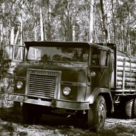 Neal Lockett beside R.H. Crockett's timber truck with a load of pit props, Blue Gum Creek, Stockrington, 17 June 1977