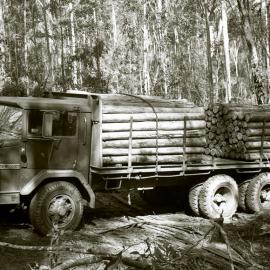 R.H. Crockett's timber truck with a load of pit props, Blue Gum Creek, Stockrington, 17 June 1977