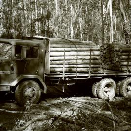 Neal Lockett standing beside R.H. Crockett's timber truck with a load of pit props, Blue Gum Creek, Stockrington for Stockrington Colliery, 17 June 1977