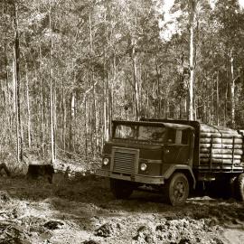 Lunch time. R.H. Crockett's timber truck with a load of pit props, Blue Gum Creek, Stockrington, 17 June 1977