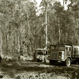 Lunch time. R.H. Crockett's timber truck with a load of pit props, Blue Gum Creek, Stockrington, 17 June 1977