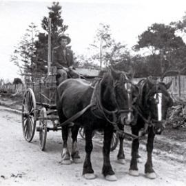 Man on wagon drawn by two horses, NSW Central Coast area, [n.d.]