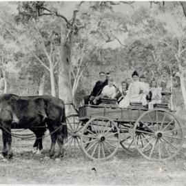 Family group on horse drawn wagon, NSW Central Coast area, [n.d.]