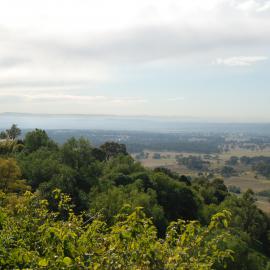 Scene in the Hunter Valley, NSW, 2015