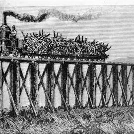 Artist's Impression of John Spiller's, 0-4-0 tank type, vertical boiler, River Estate, Mackay, Qld [c.1880]