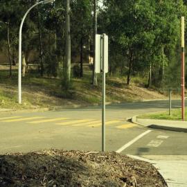 Hunter Building surrounds, 24 May 1993