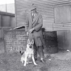 Silver Alsatian, "Marcus of Strassbourg", owned by Mr Oughton, Great Northern Canine Society Show, 29 July 1933