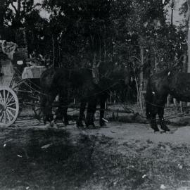 T.V. Foster's delivery horse waggon,[Mt Vincent area], [n.d.]