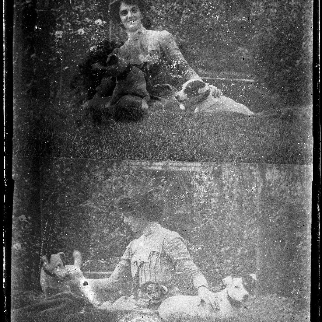 Woman with pet dogs