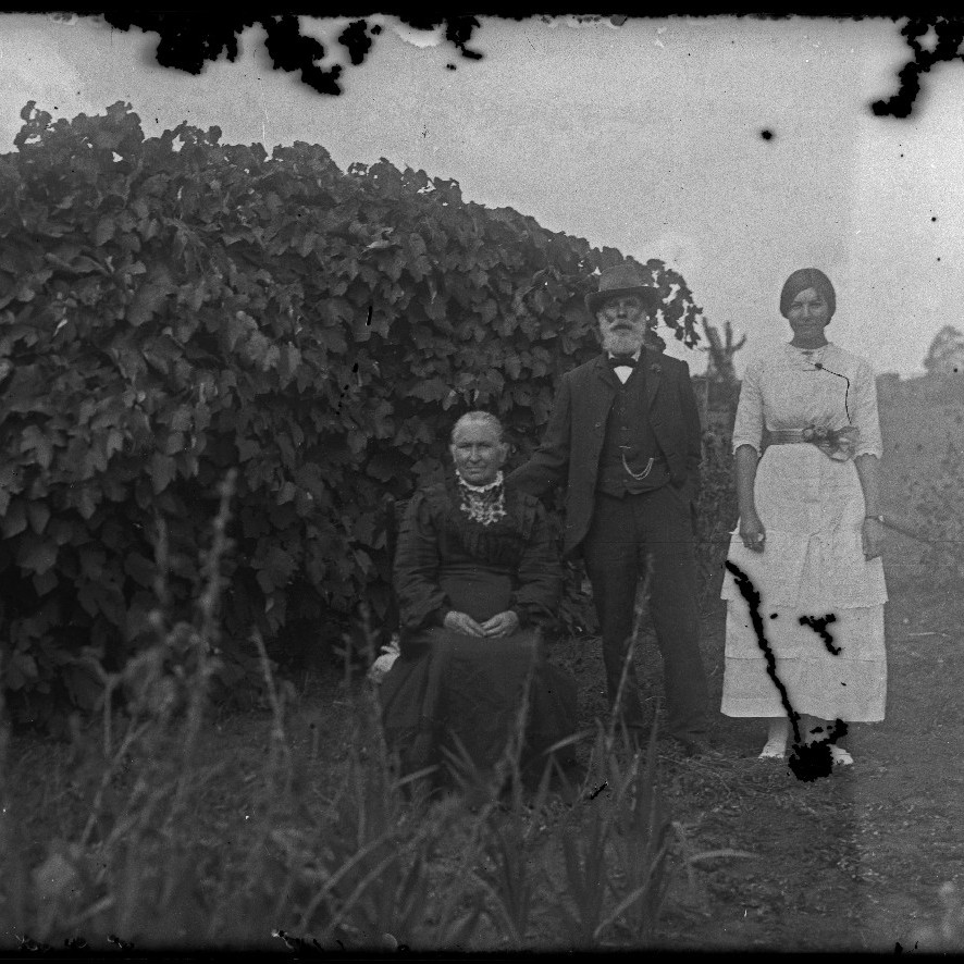 [Catherine Annie Rodoni (nee Wilson)'s parents and sister, c1910s