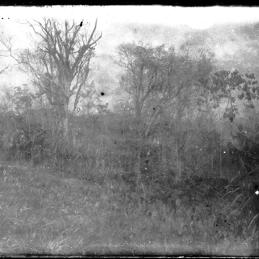 Deteriorated negative showing river, jungle, mountain scenes, New Guinea? c 1914-1915