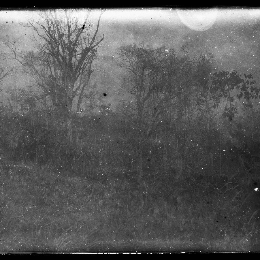 Deteriorated negative showing river, jungle, mountain scenes, New Guinea? c 1914-1915