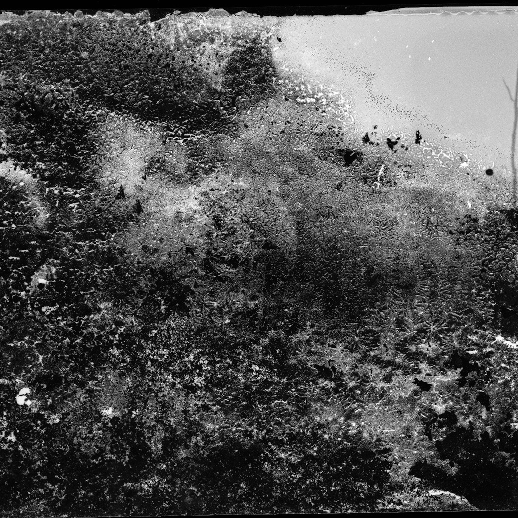 Damaged glass negative