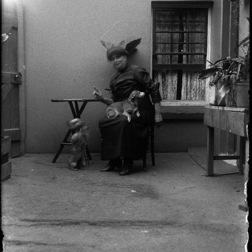 Woman and two dogs