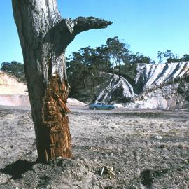 Bernadette Smith - Public Reserve