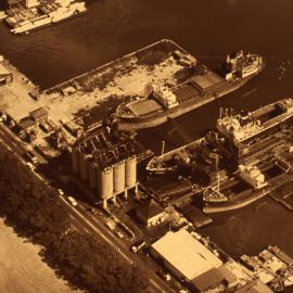 Blackwattle Bay