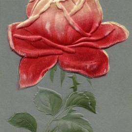 Happy birthday. Postcard sent to Miss L. (Lizzie) Moore, Bishop's Bridge, West Maitland, [n.d.]
