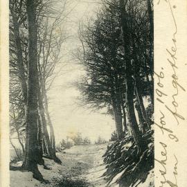 Snowy scene. Postcard sent from Wingham, NSW, to Mr W.J. (William Joseph) Moore, Bishop's Bridge, Via West Maitland, 9 Jan 1906