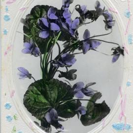 "Now I send my loving Greeting, for a Birthday bright and fair. And future years of Happiness, Without a shade of care. Sent by V.P. Bailey to Mr F.R. Moore, [n.d.]
