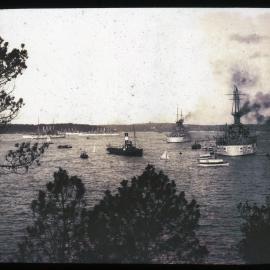 Portion of the American Fleet at Anchor, Sydney, NSW