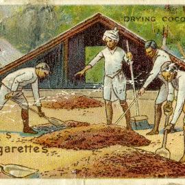 British Empire Series, No. 25. Drying cocoa in Trinidad.