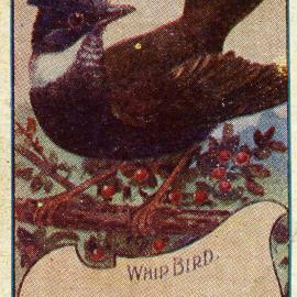 Australian Birds, No. 87. Whip Bird.